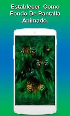 Play Tigres Live Wallpaper