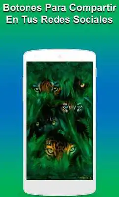 Play Tigres Live Wallpaper