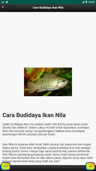 Play Tilapia Cultivation as an online game Tilapia Cultivation with UptoPlay