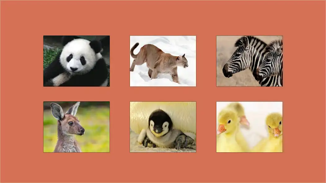 Play Tile Jigsaw : Cute Animals around the World  and enjoy Tile Jigsaw : Cute Animals around the World with UptoPlay