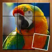 Free play online Tile Puzzle - Animal Picture APK Free play online Tile Puzzle - Animal Picture APK