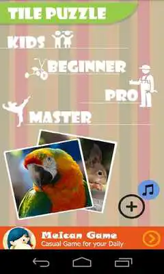 Play Tile Puzzle - Animal Picture