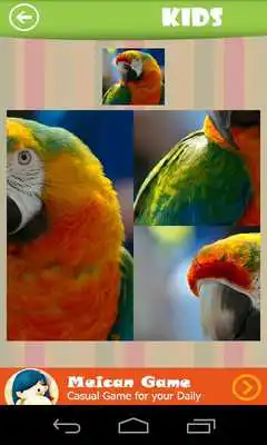 Play Tile Puzzle - Animal Picture