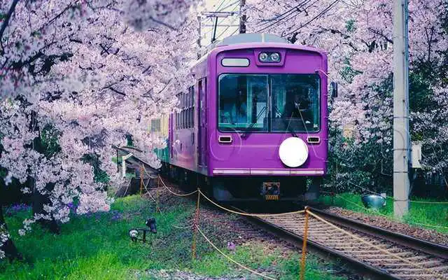 Play Tile Puzzle Japanese Style Play Tile Puzzle Japanese Style