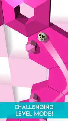 Play Tiltagon