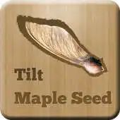 Free play online Tilt Maple Seed APK