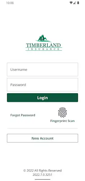 Play Timberland Insurance Online  and enjoy Timberland Insurance Online with UptoPlay