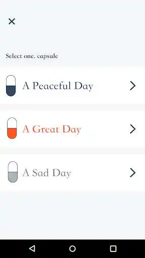 Play Time Capsule Diary Play Time Capsule Diary