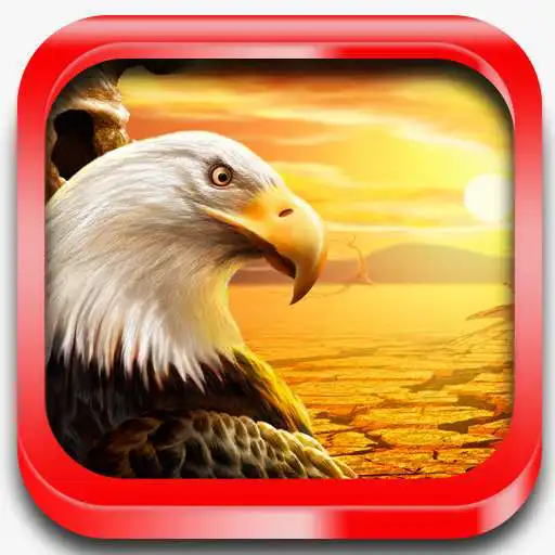 Run free android online Time of Nagual APK