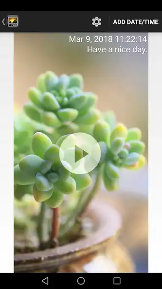 Play Timestamp Photo and Video Pro  and enjoy Timestamp Photo and Video Pro with UptoPlay