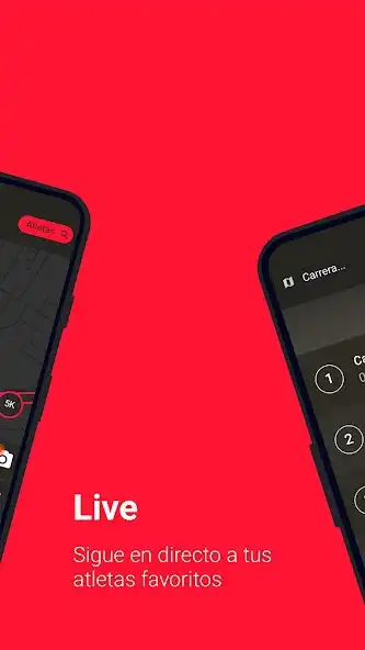 Play Timing Cat as an online game Timing Cat with UptoPlay