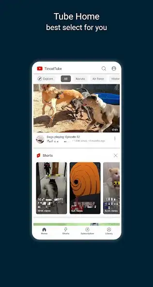 Play Tincat Tube: Fast  Block Ads as an online game Tincat Tube: Fast  Block Ads with UptoPlay