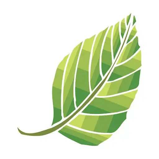 Play Tintorería Bosques APK Play Tintorería Bosques APK