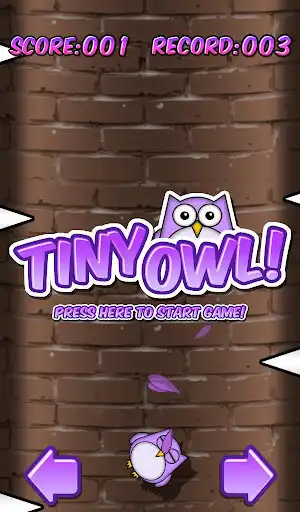 Play Tiny Owl  and enjoy Tiny Owl with UptoPlay