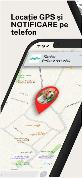 Play TinyPet  and enjoy TinyPet with UptoPlay