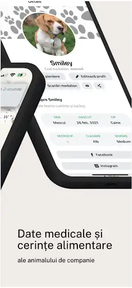 Play TinyPet as an online game TinyPet with UptoPlay