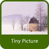 Free play online Tiny Picture APK