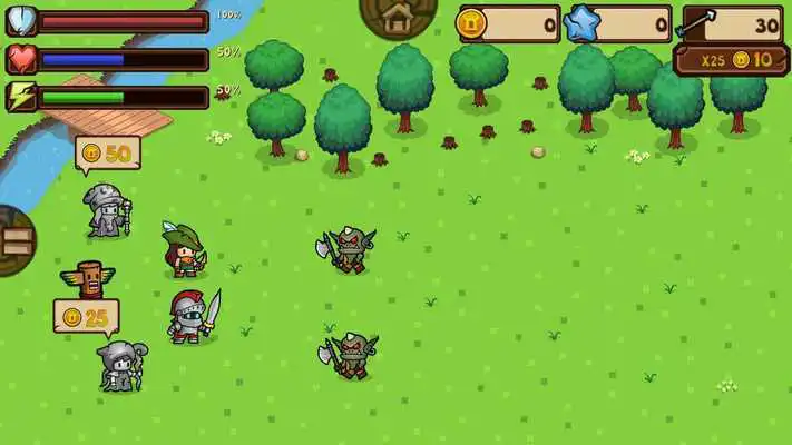 Play Tiny Raiders