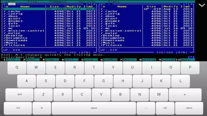 Play TinyTERM Lite