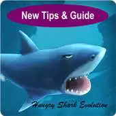 Free play online Tip For Hungry Shark Evolution APK