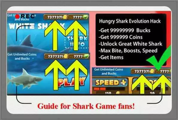 Play Tip For Hungry Shark Evolution