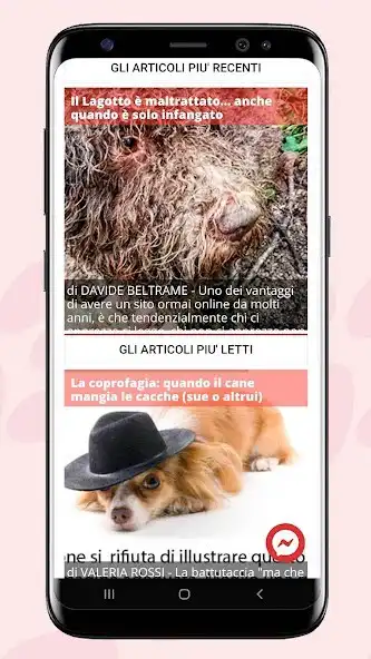 Play Ti presento il cane  and enjoy Ti presento il cane with UptoPlay