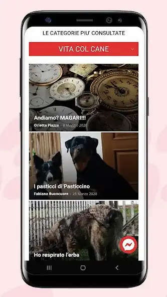Play Ti presento il cane as an online game Ti presento il cane with UptoPlay