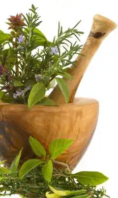 Play Tips de medicina natural