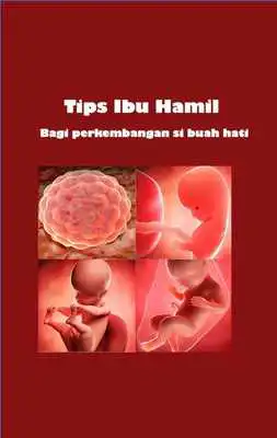 Play Tips ibu hamil
