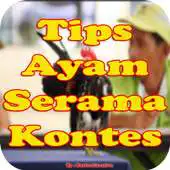 Free play online Tips Melatih Ayam Serama Siap Kontes APK Free play online Tips Melatih Ayam Serama Siap Kontes APK