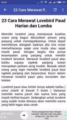 Play Tips Merawat Burung Lovebird