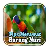 Free play online Tips Merawat Burung Nuri APK