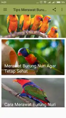 Play Tips Merawat Burung Nuri