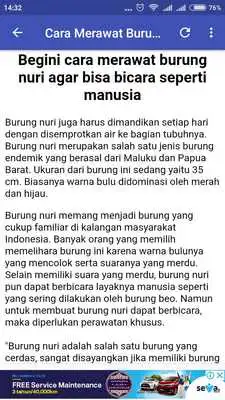 Play Tips Merawat Burung Nuri