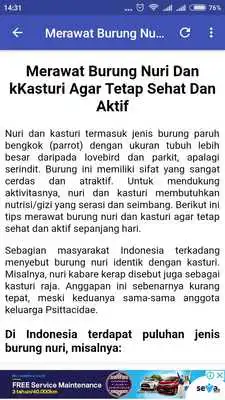 Play Tips Merawat Burung Nuri