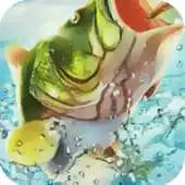 Free play online Tips Of Fishing Clash - Catch Rare Fish APK