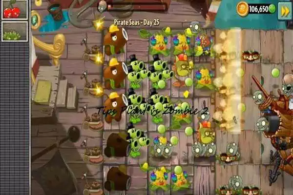 Play Tips Plant vs Zombie 2