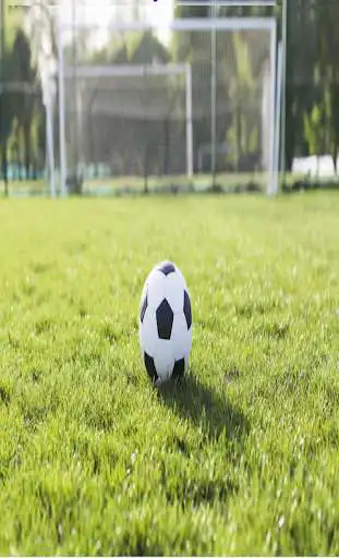 Play TiroPenalti  and enjoy TiroPenalti with UptoPlay