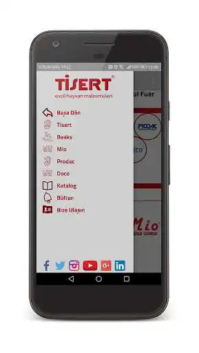 Play TISERT as an online game TISERT with UptoPlay