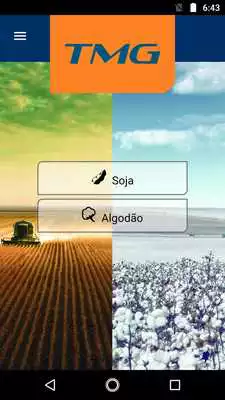 Play TMG Cultivares