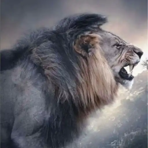 Play Túnel do Tempo das Galáxias APK