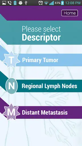 Play TNM Lung Staging as an online game TNM Lung Staging with UptoPlay