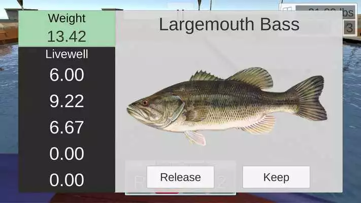 Play Toad Time Play Toad Time