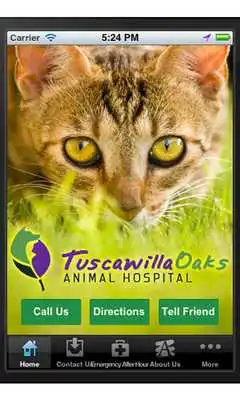 Play TOAH - Animal Hospital