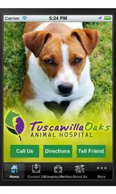 Play TOAH - Animal Hospital