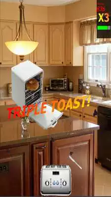 Play Toaster Toss (Pro Version)
