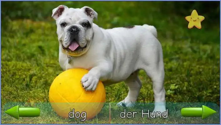 Play Toddler Animal Sounds Multi