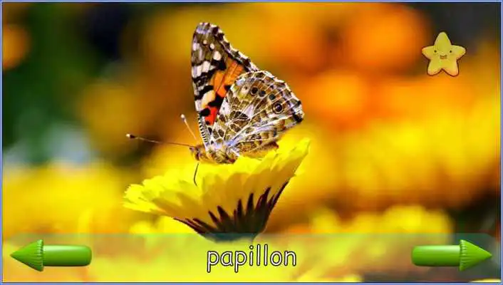Play Toddler Animal Sounds Multi