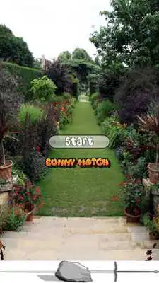 Play Toddler Bunny Match Free