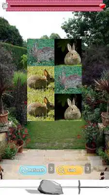 Play Toddler Bunny Match Free